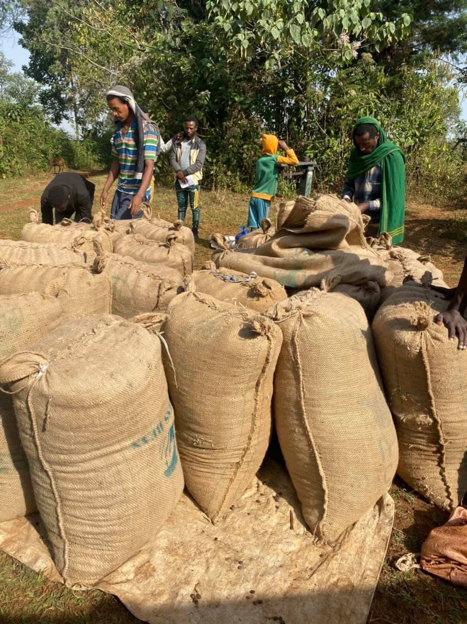 Fresh coffee bags