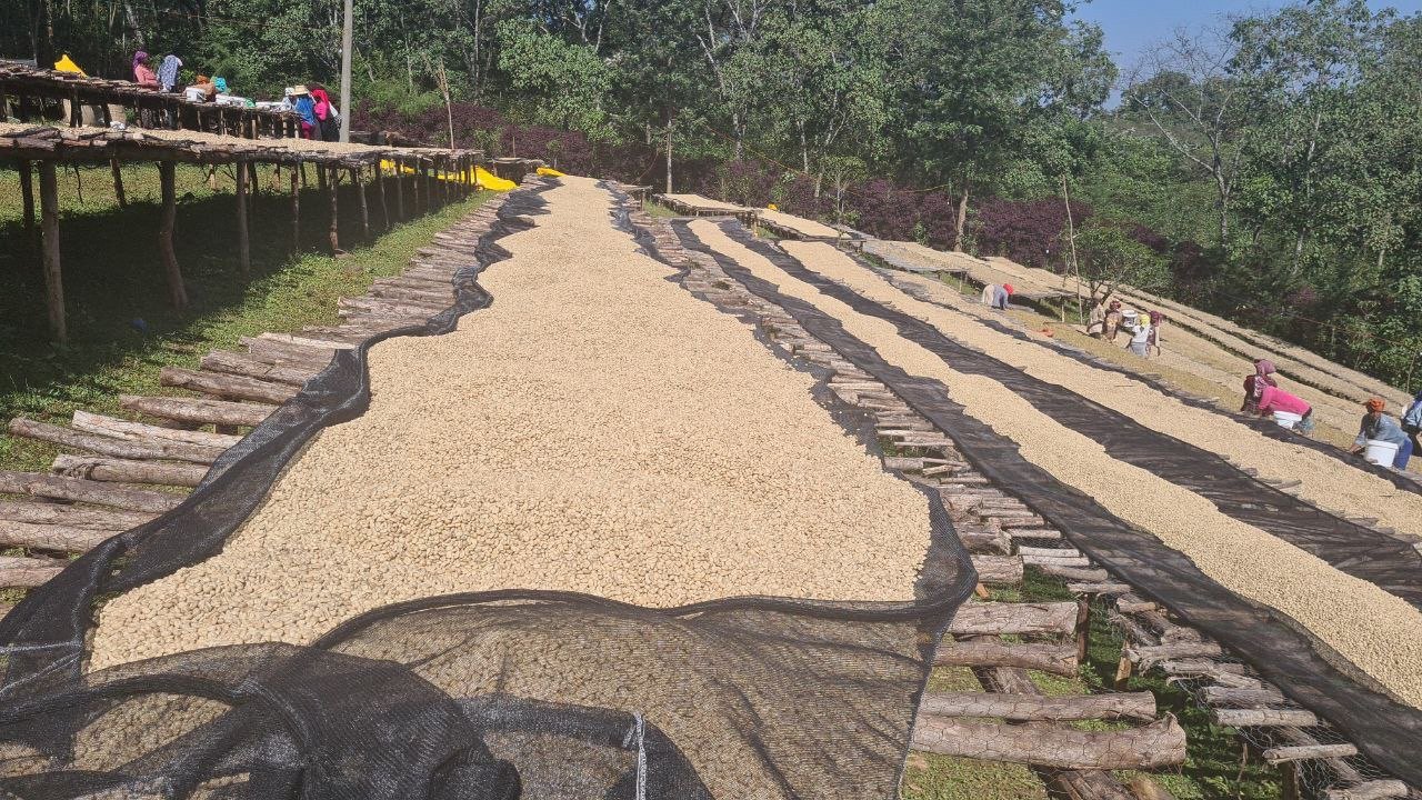 Farm2Cup Coffee photo
